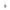 Loftljós - bulb pistashio